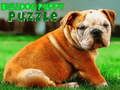 Permainan Teka-teki Anak Anjing Bulldog  secara online