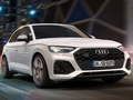 Permainan Audi SQ5 TDI Slide secara online