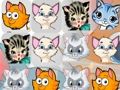 Permainan Pertandingan Anak Kucing3  secara online