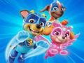 Permainan Buku Mewarnai untuk Paw Patrol  secara online