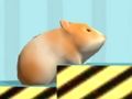 Permainan Hamster Untuk mengkonfirmasi  secara online