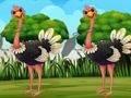 Permainan Temukan tag burung unta  secara online