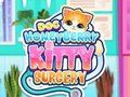 Permainan Bedah Doc HoneyBerry Kitty  secara online