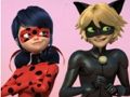 Permainan Puzzle Jigsaw Ladybug & Kucing Noir Ajaib  secara online