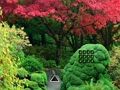 Permainan Pelarian Taman Daun Maple  secara online
