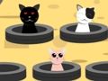 Permainan Tangkap Kucing  secara online