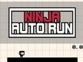 Permainan Jalankan Otomatis Ninja  secara online