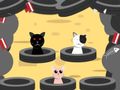 Permainan Tangkap Kucing  secara online