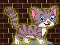 Permainan Pelarian Kucing Kecil yang Menyenangkan  secara online