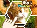 Permainan Mengurutkan Foto secara online