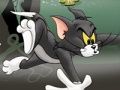 Permainan Tom dan Jerry Chase di Marsh  secara online