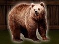 Permainan Selamatkan Beruang Grizzly  secara online