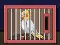 Permainan Lepaskan Burung Cockatiel  secara online