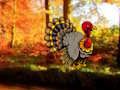 Permainan Pelarian Kalkun Menari Thanksgiving  secara online