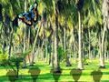 Permainan Selamatkan Harimau Tasmania  secara online