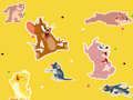 Permainan Pertunjukan Tom and Jerry Temukan! secara online Permainan Pertunjukan Tom and Jerry Temukan! secara online