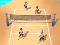 Permainan Bola voli pantai 3D  secara online