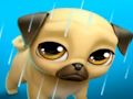 Permainan Hewan Peliharaan Virtualku Louie si Pug  secara online
