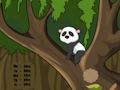 Permainan Melarikan Diri Panda dari Hutan secara online