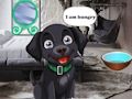 Permainan Memberi Makan Anjing Hitam Lapar secara online Permainan Memberi Makan Anjing Hitam Lapar secara online