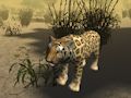 Permainan Simulator Berburu Cheetah Afrika  secara online