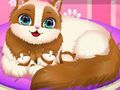 Permainan Kucing Lucu Hamil secara online Permainan Kucing Lucu Hamil secara online