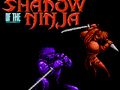 Permainan Bayangan Ninja  secara online