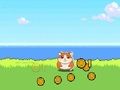 Permainan Pengklik Hamster Kombat secara online Permainan Pengklik Hamster Kombat secara online