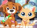 Permainan Perawatan Dokter Hewan Anak Anjing  secara online