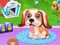 Permainan Salon Anjing Peliharaan Teman Anak Anjing  secara online