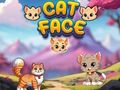Permainan Wajah Kucing  secara online