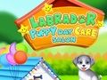 Permainan Salon Penitipan Anak Anjing Labrador  secara online