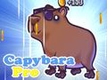 Permainan Kapibara Pro  secara online