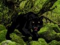 Permainan Melarikan diri dari Hutan Black Panther  secara online