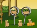 Permainan Nama Kode Penerbangan Hamster Anak Sebelah secara online Permainan Nama Kode Penerbangan Hamster Anak Sebelah secara online