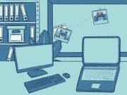 Permainan Teka-teki Racoon  secara online