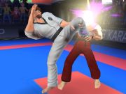 Permainan Petarung Karate  secara online