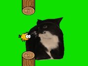 Permainan Flappy Bird Spinning Oia Oia Cat secara online
