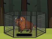 Permainan Menyelamatkan bison dari kandang  secara online