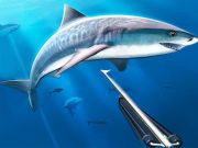 Permainan Berburu spearfishing bawah air secara online