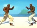 Permainan Capoeira Fighter  secara online