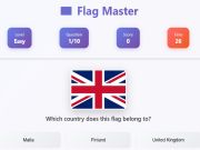 Permainan Bendera Master secara online