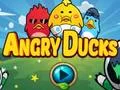 Permainan Angry Ducks secara online