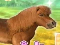 Permainan My Dear Pony secara online