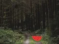 Permainan Dense Forest Deer Escape secara online
