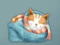 Permainan Adorable Escape Find Cute Kitten secara online
