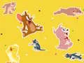 Permainan The Tom and Jerry Show Find it! secara online