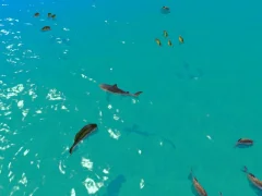 Permainan Hungry Shark Hunt secara online