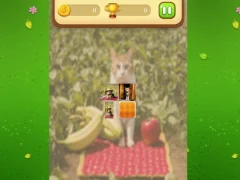 Permainan Farm Cat Memory Match secara online