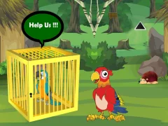 Permainan Release Trapped Macaw Buddy secara online